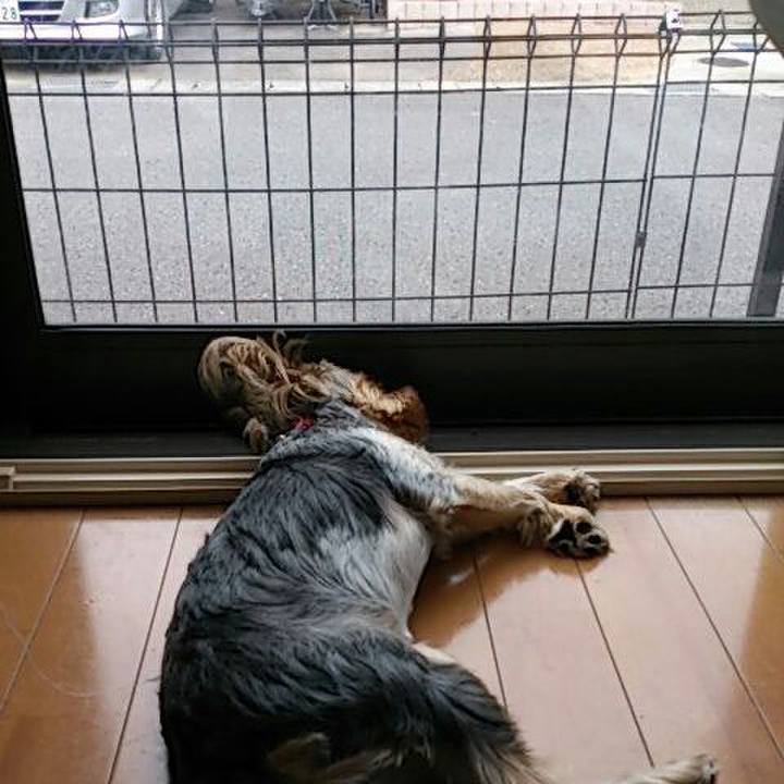 85337d42 8036 42a5 9999 6ba732f481b0