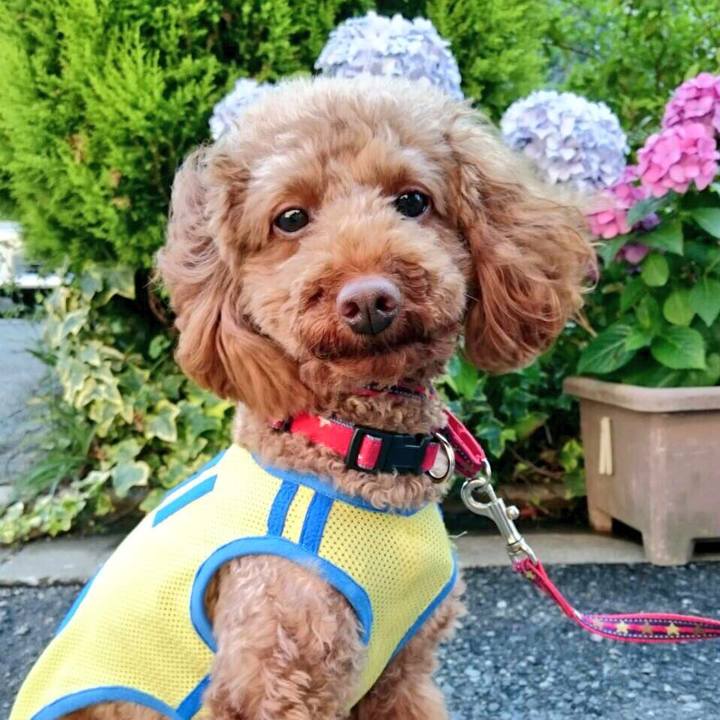 8533bb28 caa4 4e12 9f52 bf221509abce