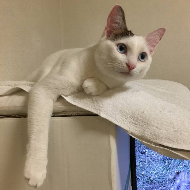 8534d051 378d 4426 b7f5 197c2edcbd4c