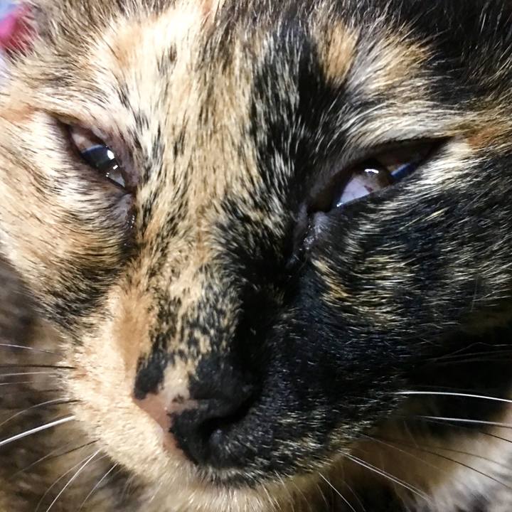 8535a59e 027f 4889 bc74 97e9b623308b