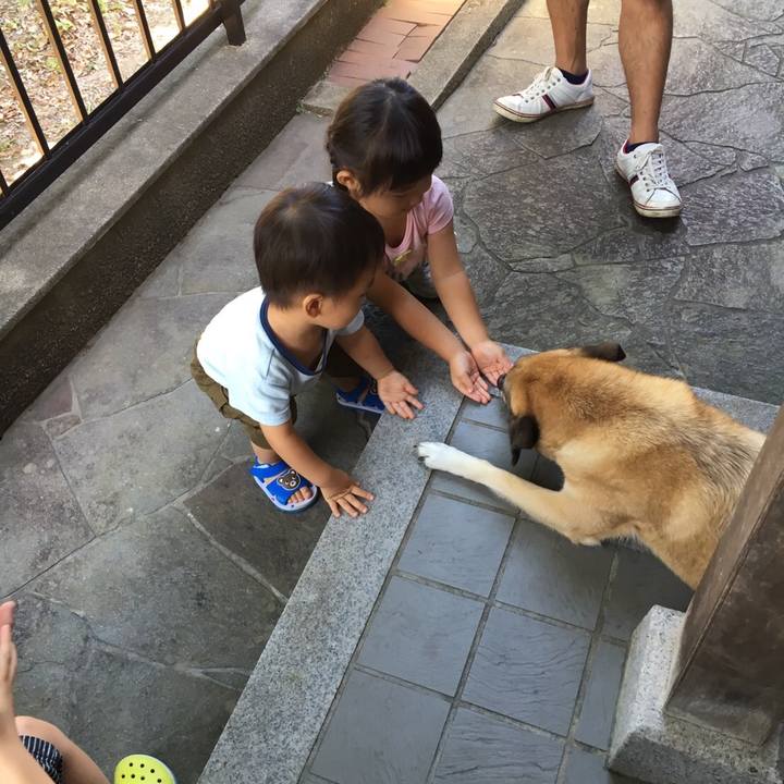 8536b8c4 643e 4b8c b642 d6c45fbc898c