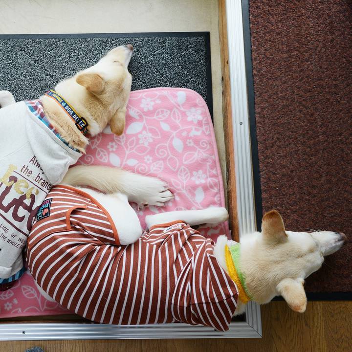 8536e284 5be2 4861 b403 5753fe42e5b3