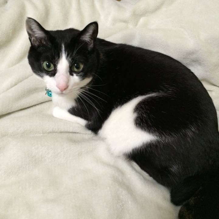 85376cf9 cdfa 42fa 8373 e79d5acb79eb