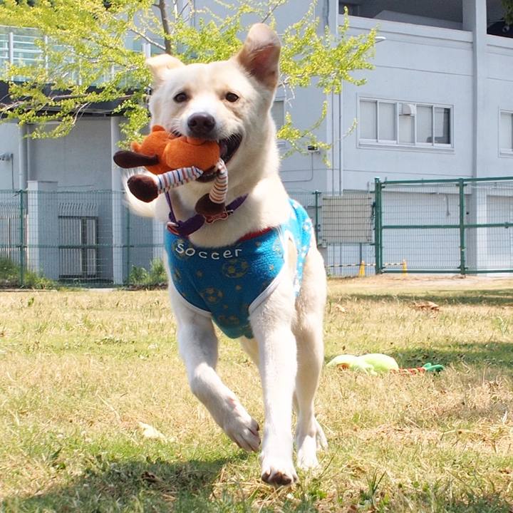 8537c88b 1d86 4399 95cb 45b8bc6e4d4c