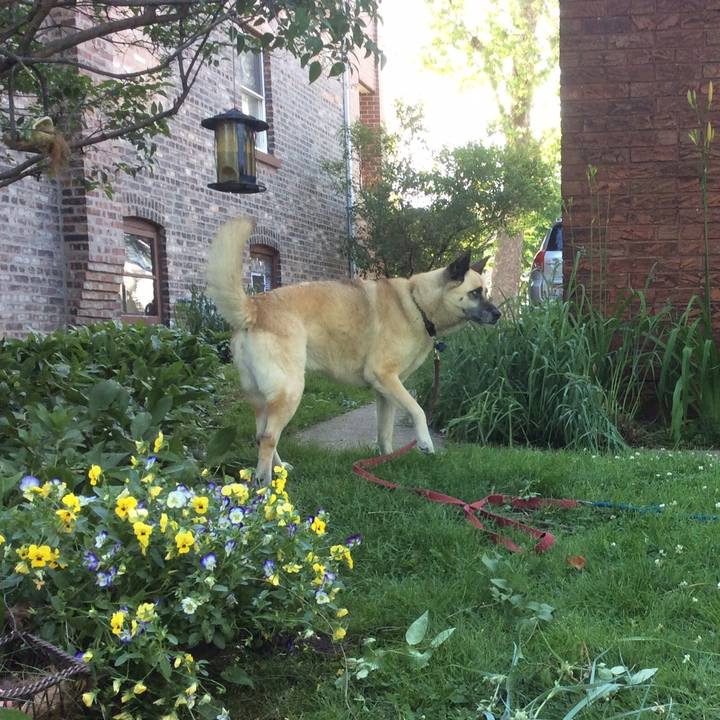 853acb90 c126 41e7 8b32 a69b01f99342