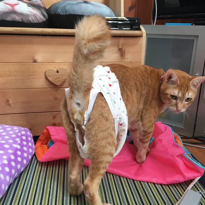 853b6819 df09 4da1 950c c5c2fcdbcc8f