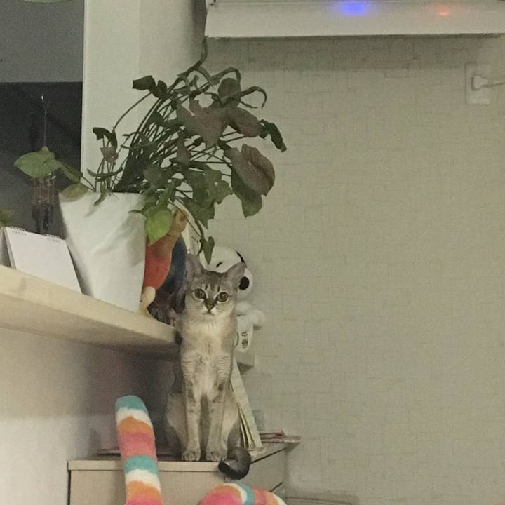 853ba1dc 72a3 43d5 9b68 c5bc481b0180