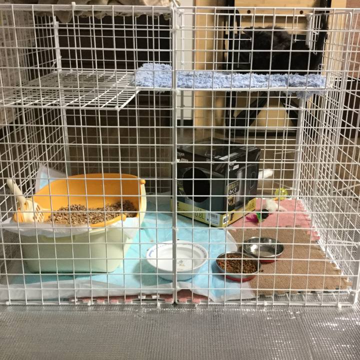 853be0a5 b64d 4607 9452 eb09fd0ed9cd