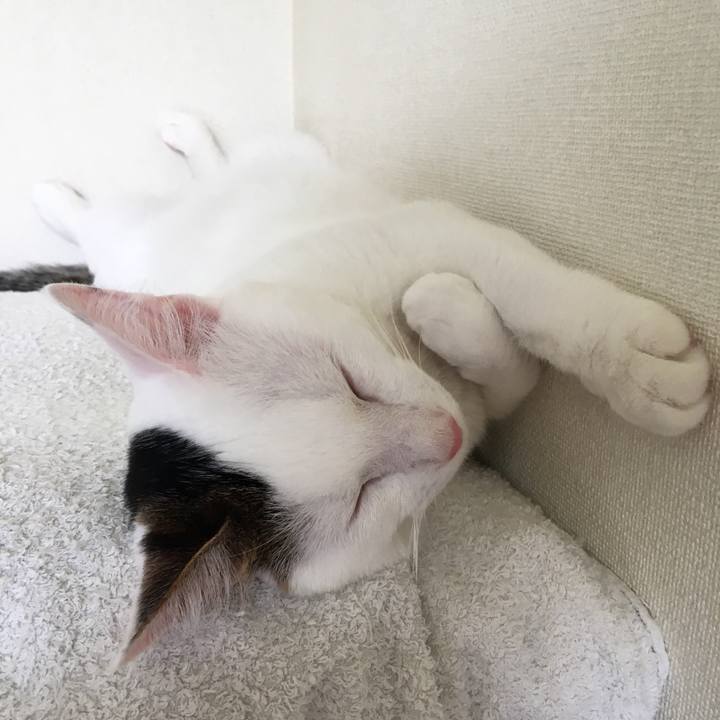 853cac9b a6f1 4deb 9640 579b2d9fd417