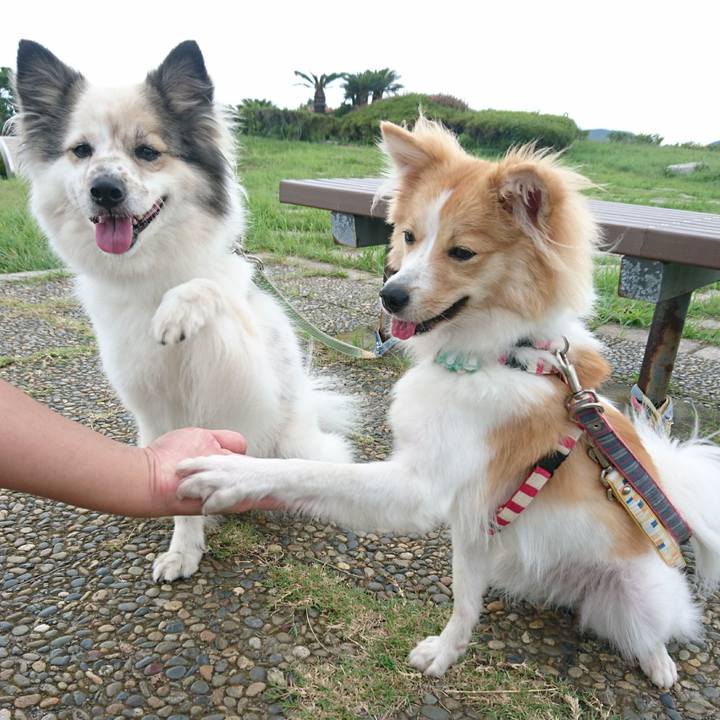 853cdd4b 8ddb 4efd 8528 df0382d2d65d