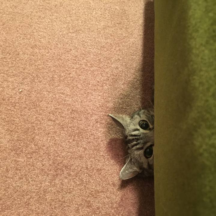 853d501b 88e2 49ca a1de e0320c14f02a