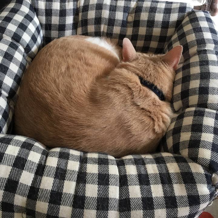 853dd952 f32d 45ae 9750 f38bc6e6aa09