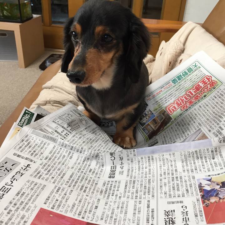 853dee38 fe71 454a 9046 b4664291eca8