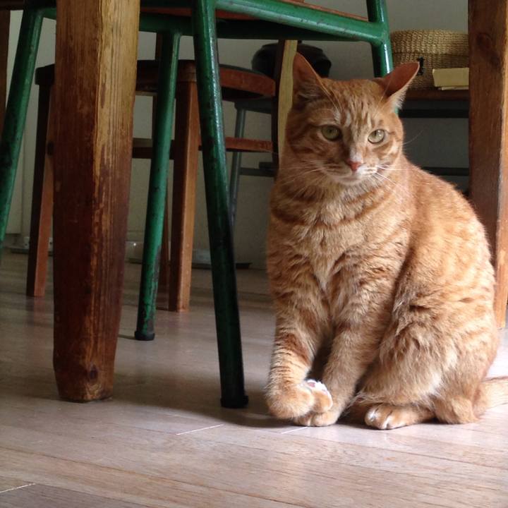 853e011d adf7 46d7 8900 3d1cfb13c5f9