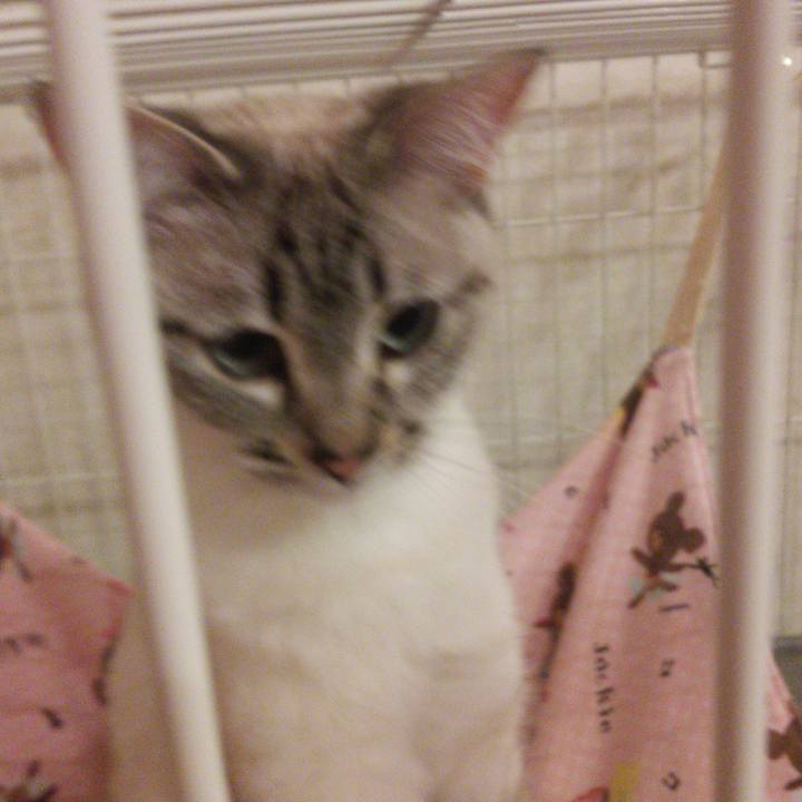 853e1aee e590 46ac 9e82 0a7e8cdae6c4