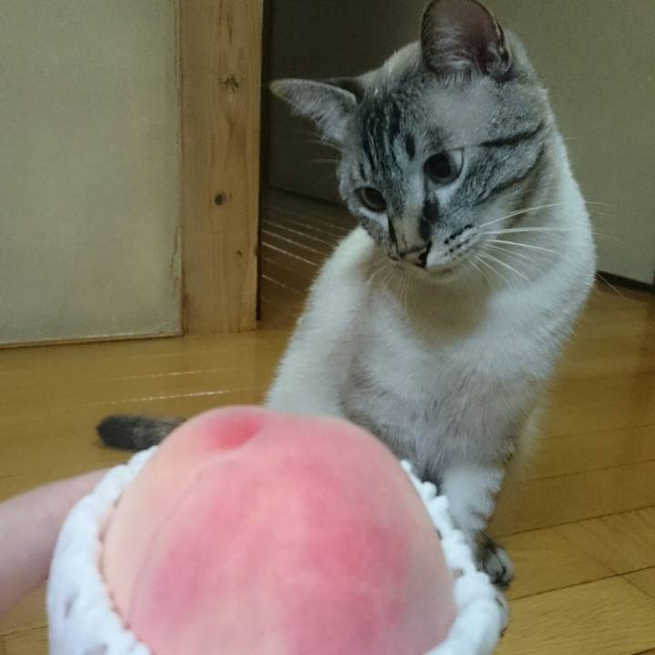 853e7280 4976 45de 95cb 93b44409d6b8