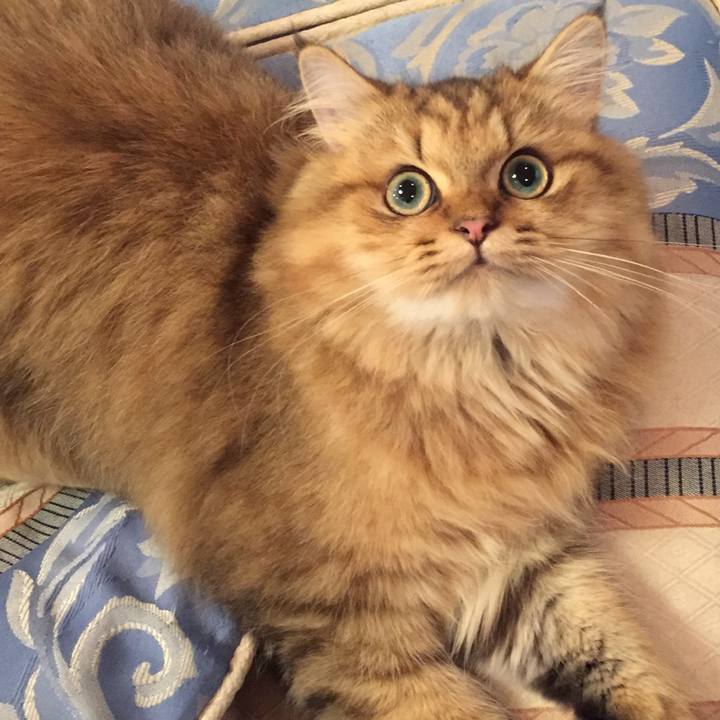 853ee682 dbff 4617 bf0c c0786ff6ac6c