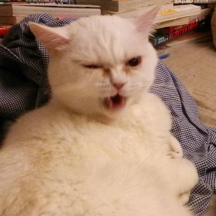 853f812b ba08 4134 ab43 9859b82be2d3