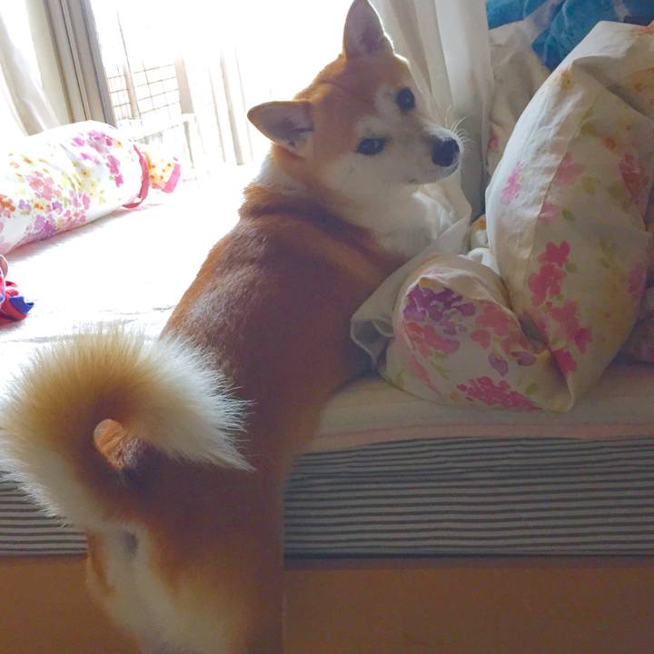 853f8880 4c44 41f7 8b90 6322871c5a96