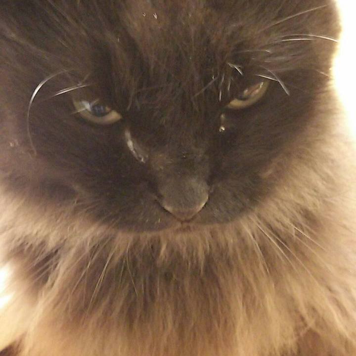 853ff69f f8a7 483d ad6f 8c1fb883aab7