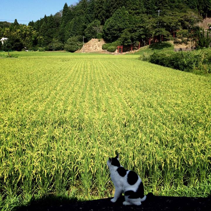 854033ba f1e7 4da2 925e 584cd854ad09