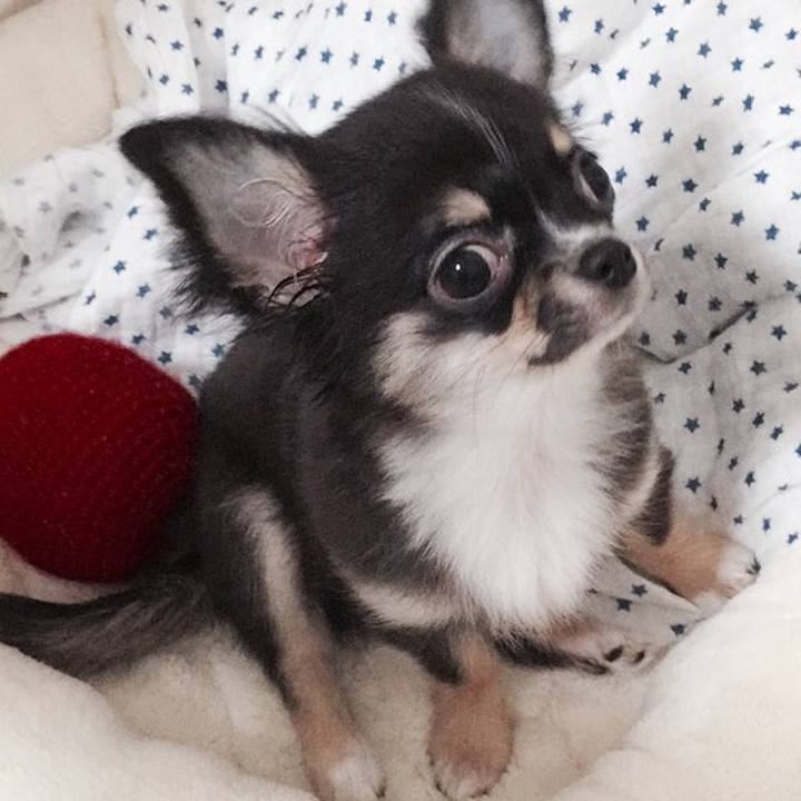 85411aa8 d344 44d2 a26a ac7307c3c044