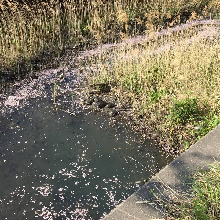 85416759 ec0c 474b 88e1 a121a21dd724