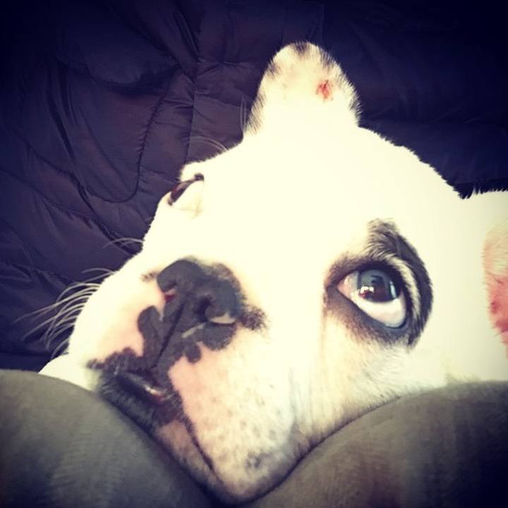 8541cf89 fcae 4eda 90a3 e016459d6d6d