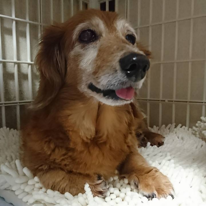 85421e92 feb4 46b3 a512 46b7dd4b298c