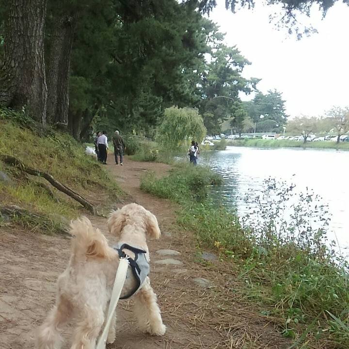 85421fee ba38 4d4e a54f dfb0f7962229