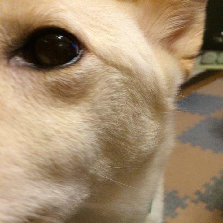 8542d83d d8f4 48ef 8023 775aa1f908d3