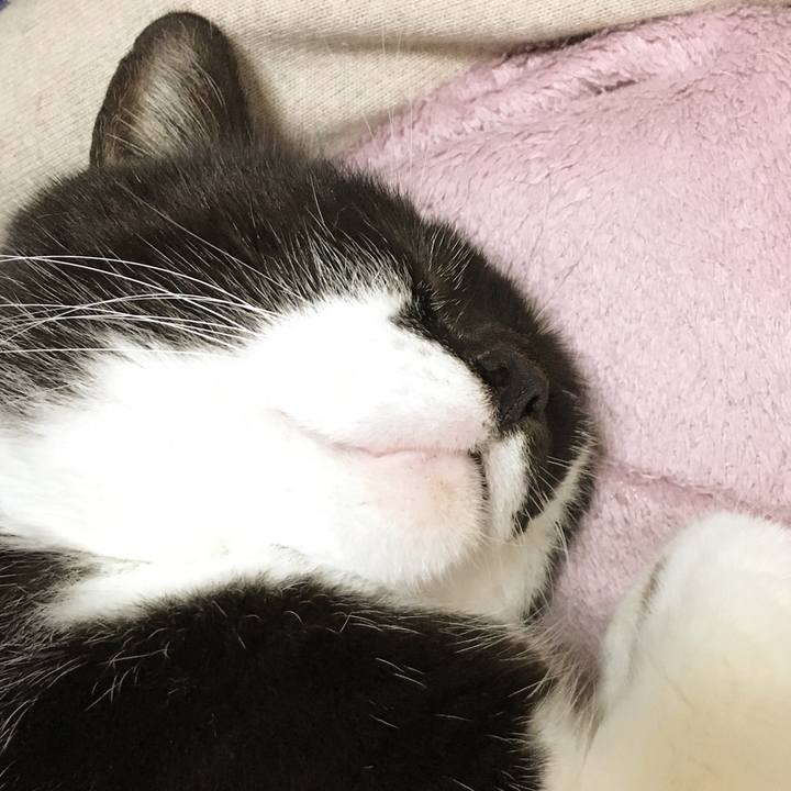 8543009a d80b 49e0 b8fd 680c0852723a