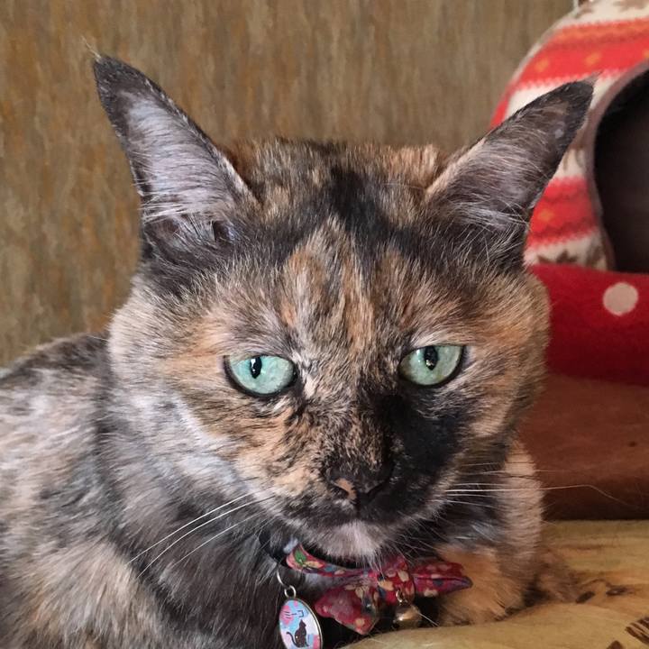 8543fa63 3604 4fb0 aa50 46c0428e9726