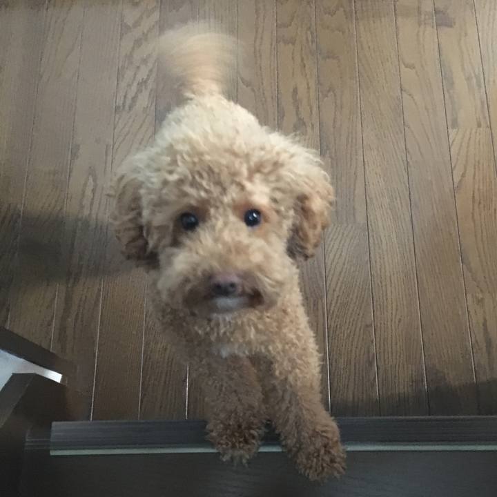 85442de6 f55c 4df1 9750 e67789bcbfa5