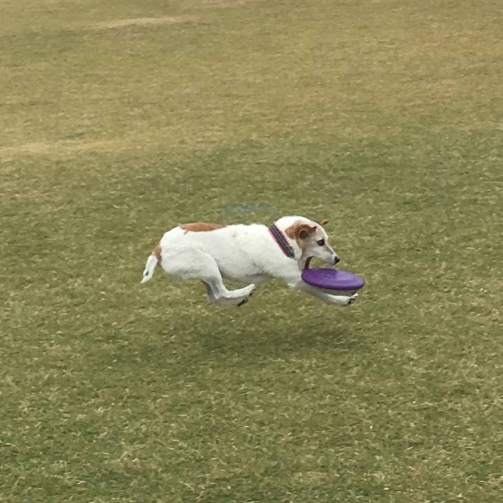 854519bc 0bb2 4eab 99c6 bcf865007ec5