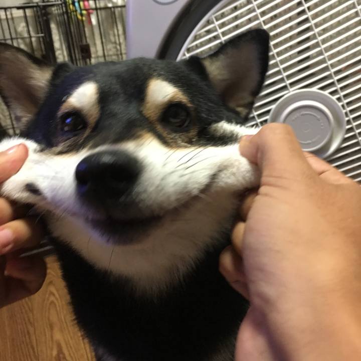 85464582 bbe4 4cdd 8a14 1945aea00603