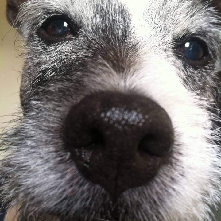 85469af4 8425 40c8 b947 6cd96372ed62