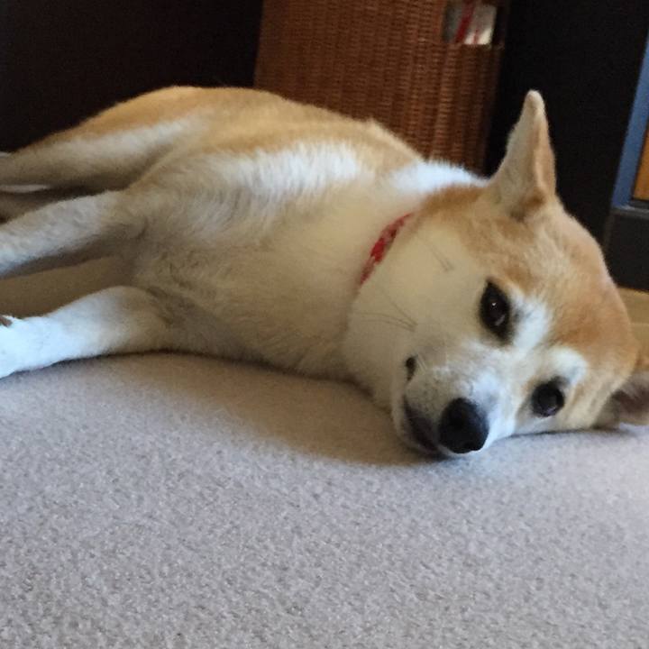 8546e51a c821 4c31 9b9c 12269b701b8a