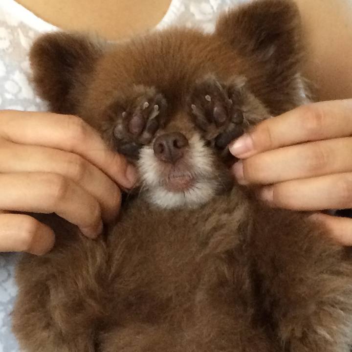 8547c179 f76f 4a16 a4f6 07348d99de85