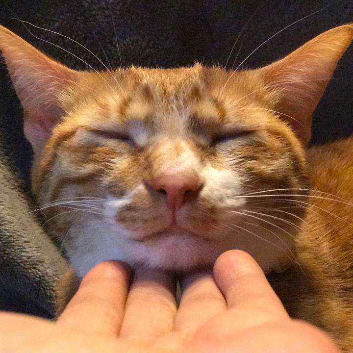 8548a785 2ab4 41c6 8775 937863e46cc2