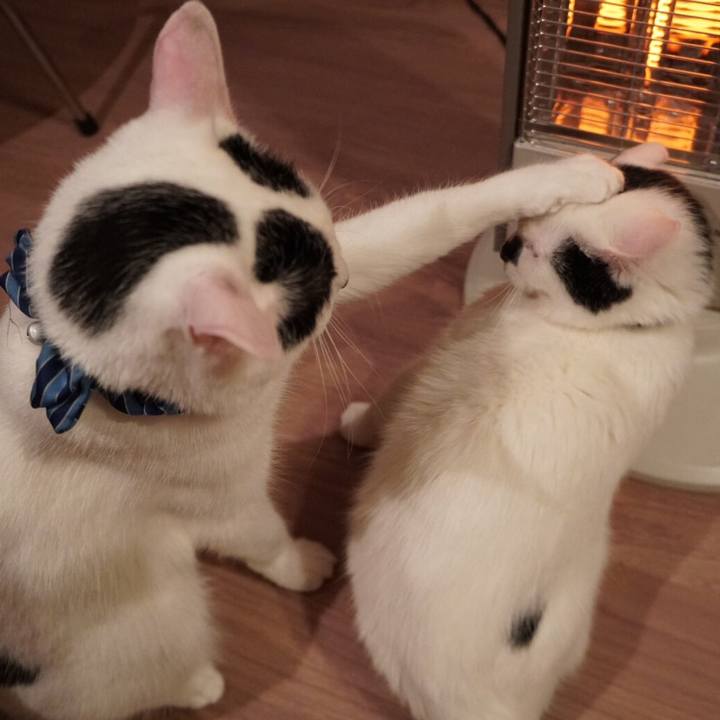 854a92ca c0ae 4582 a589 c02ed819a0a6