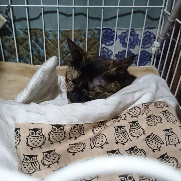 854adc11 85d2 430b b6df ee3ade16dd06