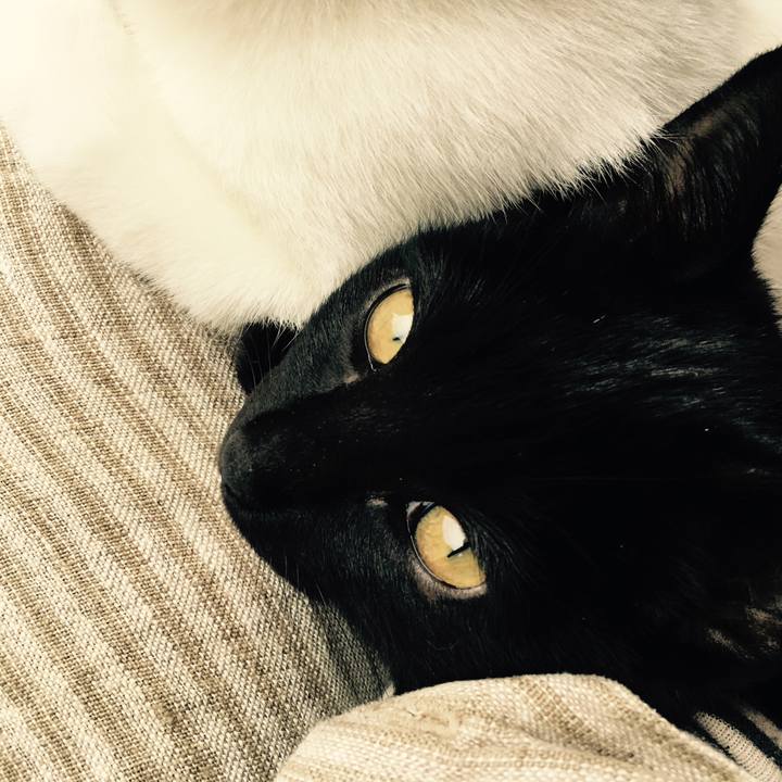 854b5792 8365 4010 af4a 42f5fe3e07db