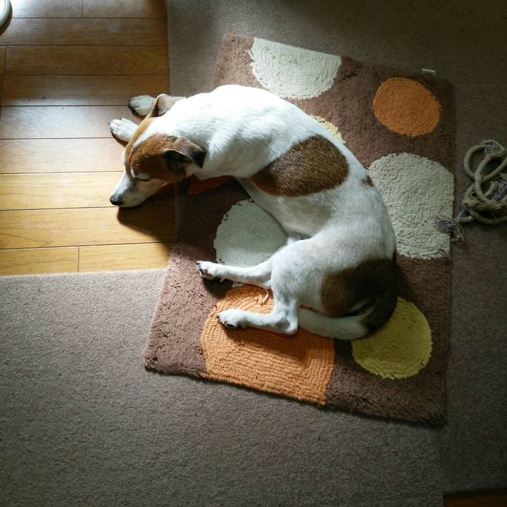 854b5980 ac59 4df7 822c 1bb1bbb77b00