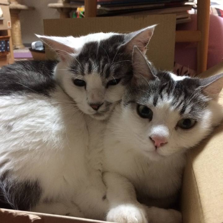 854b6d21 7e47 4971 8c63 ccda3efef98a