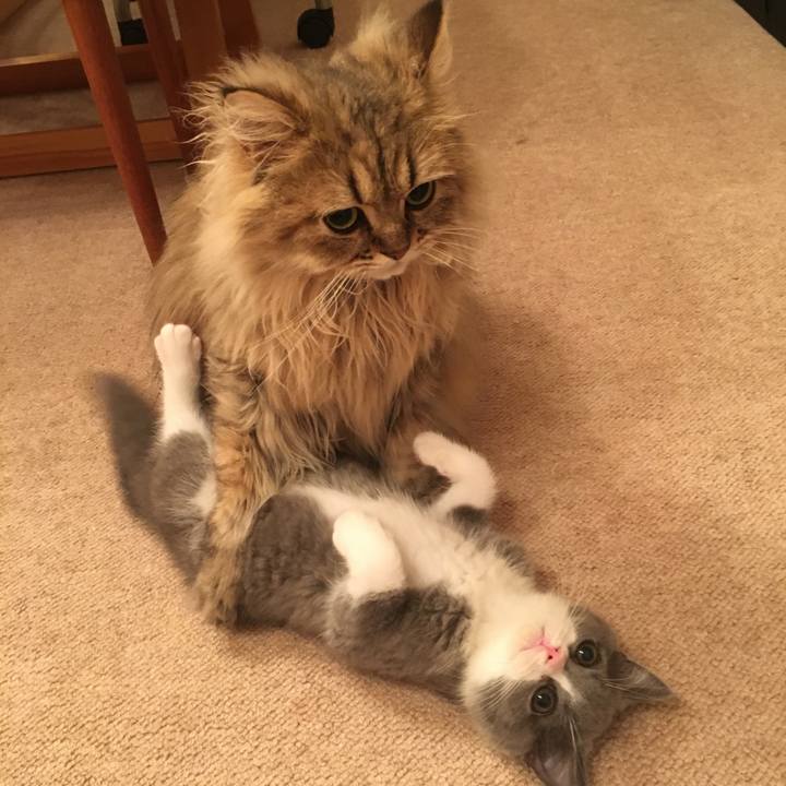 854bbee0 ea5a 49b9 b527 baf61afd0885