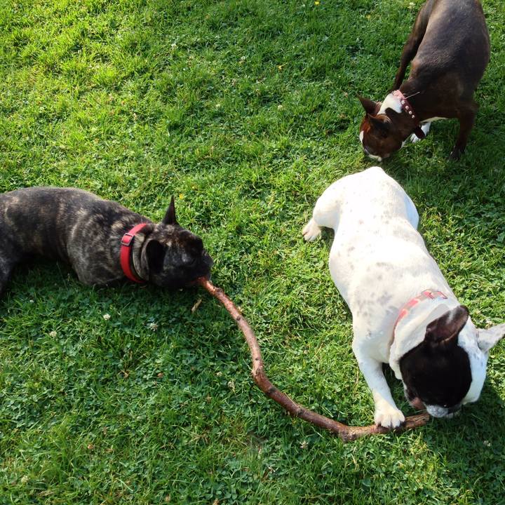 854c7f1d 4780 408b 8ed9 a5794e159407