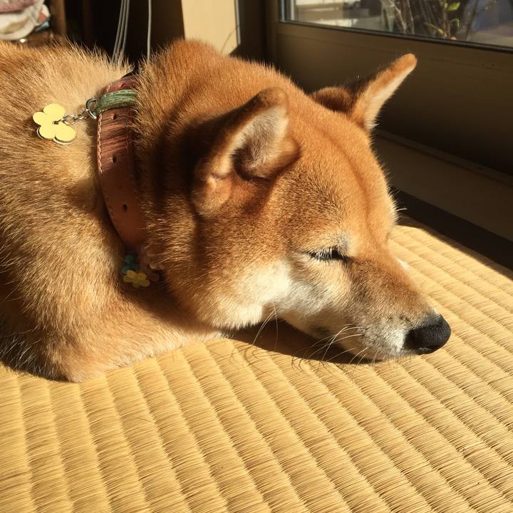 854d5ec1 82ab 4331 a113 998302bc6ed5