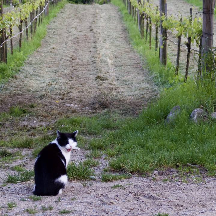 854d66af 0ca5 4ba0 95ec 1f719bbfc36d