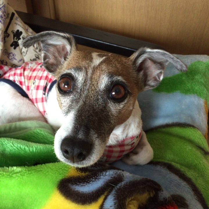 854e04b3 2263 4548 bbed c5d61e121ed0